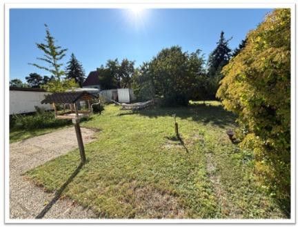 Blick in den Garten vom Haus 