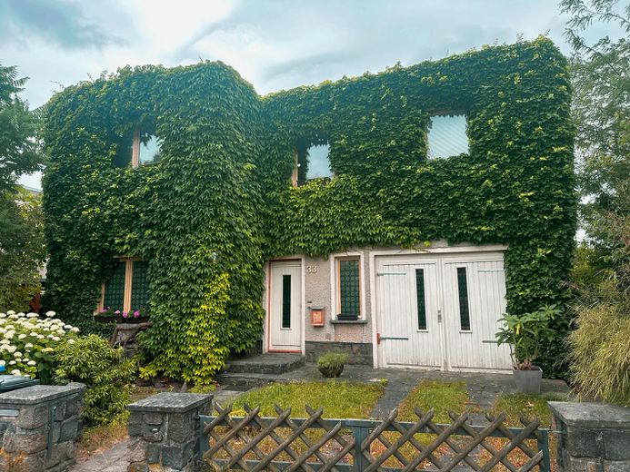 Provisionsfrei, EINFAMILIENHAUS MIT GARTEN in begehrter Wohngegend Dessau-Ziebigk – Haus_Straßenseite