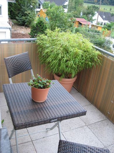 Helle 2 ZKB Wohnung, Balkon, Badezimmer mit Fenster, Einbauküche VB, Keller, Stellplatz – Balkon