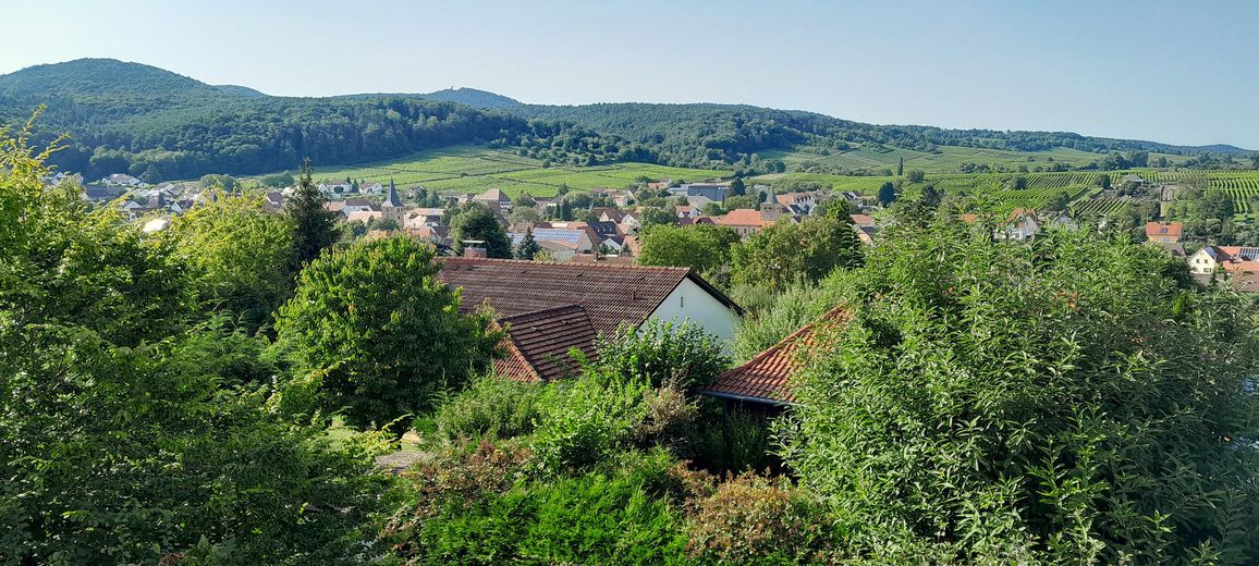 In bester Lage der südlichen Weinstraße exklusives Wohnen mit Charakter – Foto 5