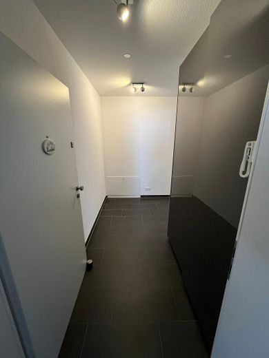 Eingang Wohnung/Gadrobe