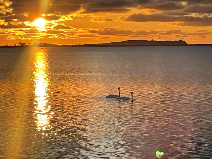 Baugrundstück Insel Rügen ca 200 m zur Ostsee erschlossen – Foto 19