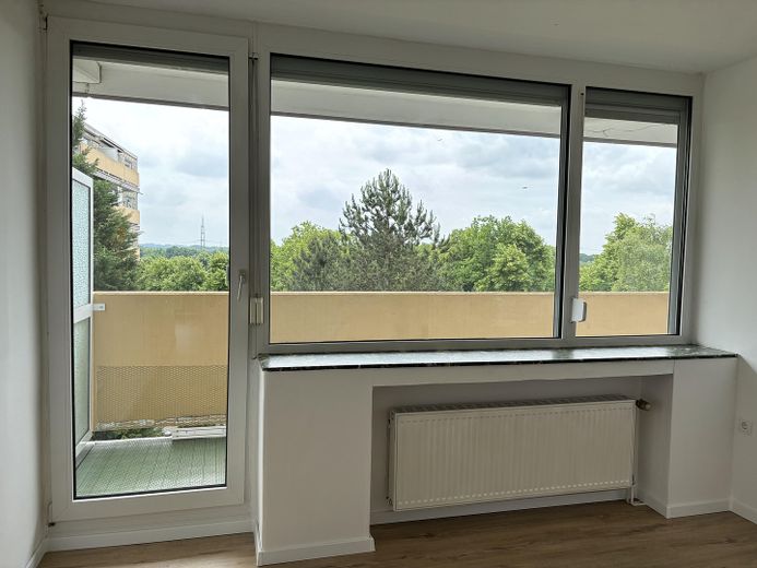 Wohnzimmerfenster
