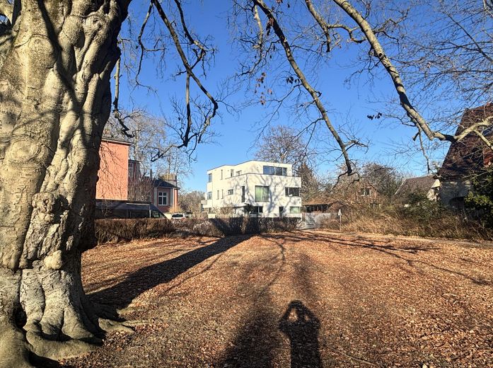 Straßenseite mit Park