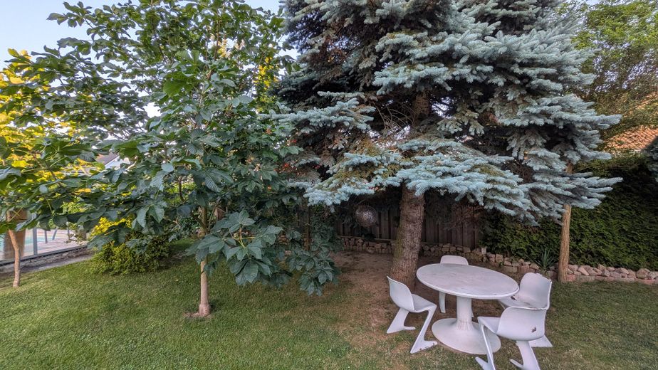 Baubiologischer, moderner Wohntraum in Top-Lage  · Chemnitz - Glösa-Draisdorf – Ansicht Garten