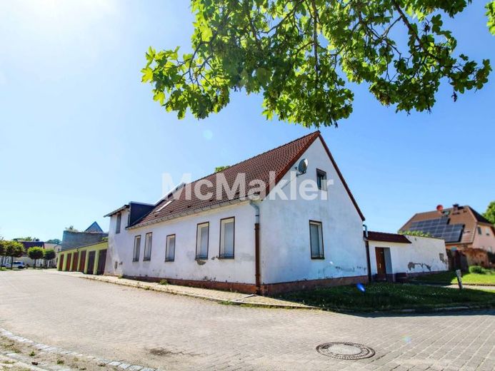 Zuhause gestalten in Bördeland-Kleinmühlingen: EFH mit Terrasse inkl. Stall mit Renovierungsbedarf – Foto 1