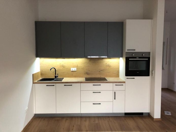 Großes helles Apartment mit Balkon zu vermieten – Foto 1