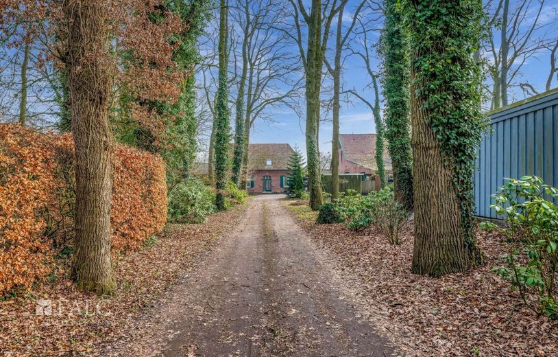 Resthof mit Scheune und über 10.000 m² Grundstück - attraktives Entwicklungspotenzial in Wiefelstede – Außenansicht