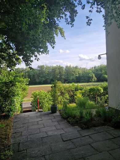 Blick
