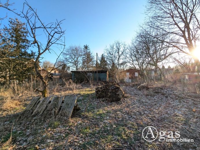 Traumgrundstück in Beelitz - bauträgerfrei – hinteres Grundstücksteil