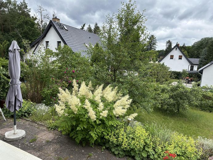 Reihenendhaus mit Blick auf den Dagowsee - nahe Großer Stechlinsee – Blick in den Garten
