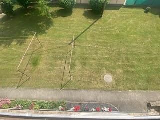 Gemeinschaftsgarten