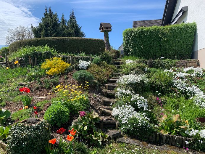 Garten 1