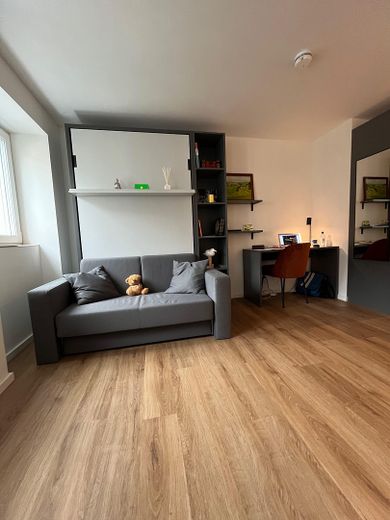 Furnished studio apartment - Himpfelhof – Wohnbereich