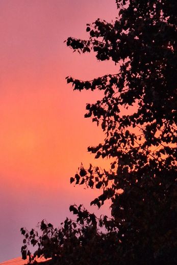 Abendstimmung im Westen