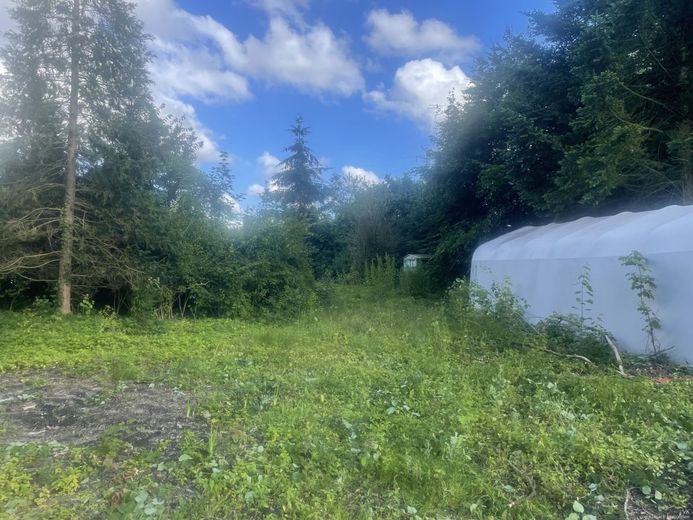 Investoren aufgepasst: Exklusive Kapitalanlage in Quickborn -MFH mit 4.386 m² Grundstück – Grundstück hinten Richtung Häuser