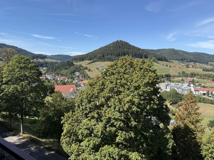 Appartment mit traumhafter Aussicht  im Sternedorf Baiersbronn – Aussicht Balkon