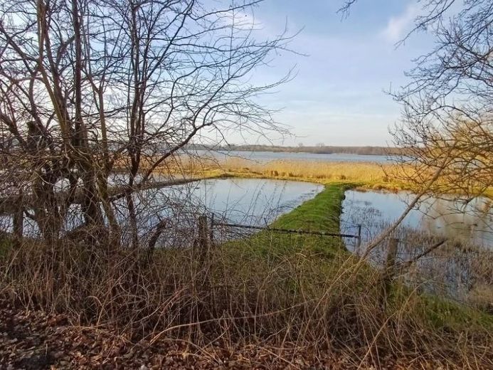 Wohnbaugrundstück mit Altbestand – Foto 1