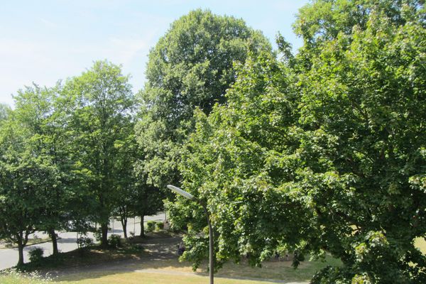 Alfter/Bonn * Barrierearme Komfortwohnung* Aufzug * EBK * S/W Loggia*Stellplatz* Hausmeisterservice*