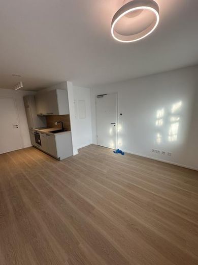 Neubau - Erstbezug - Niedrigenergiehaus - Wunderschöne 1 ZW inkl. EBK, Stellplatz, ca. 42m² Wfl. – Wohnraum