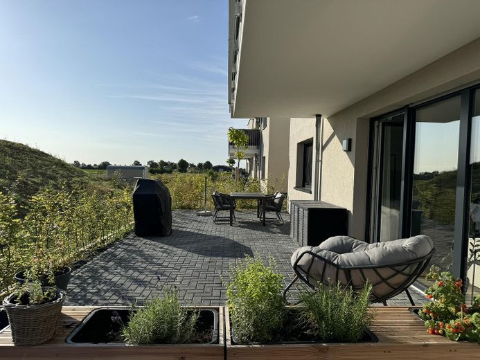 Erdgeschosswohnung (Neubau) mit großer Terrasse in Merzenich – Terrasse