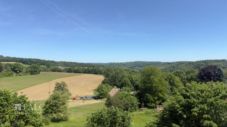 Wohnen über den Dächern von Marienberghausen - Luxus im historischen Fachwerkhaus – Aussicht Terrasse