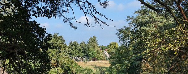 Baugrundstück für Naturliebhaber – Naturidyll 