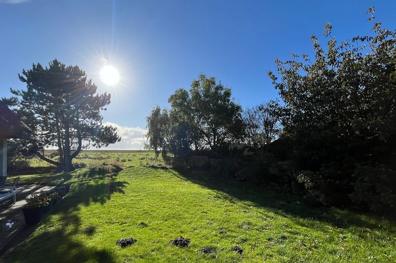 Der Ausblick aus dem Garten