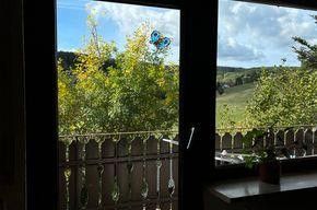 Ein-/ Zweifamilienhaus – Wohnzimmer EG