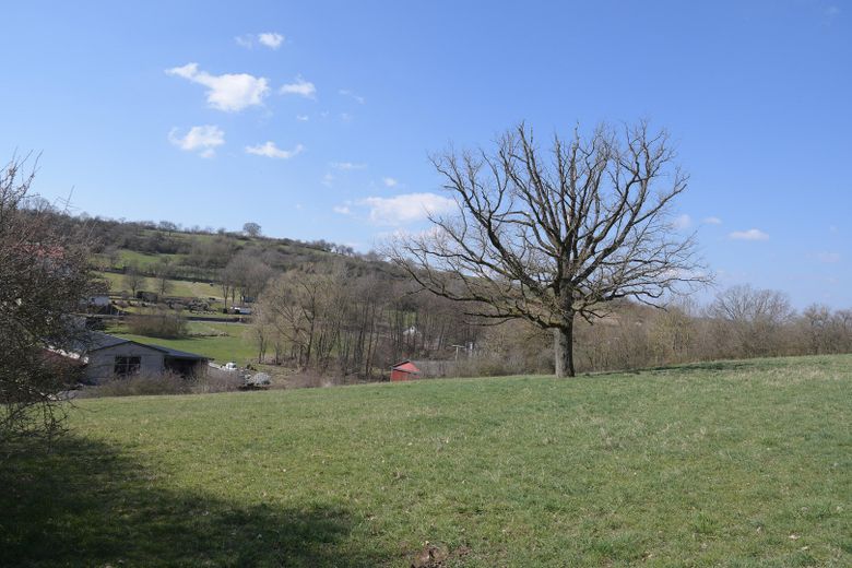 Wiesen