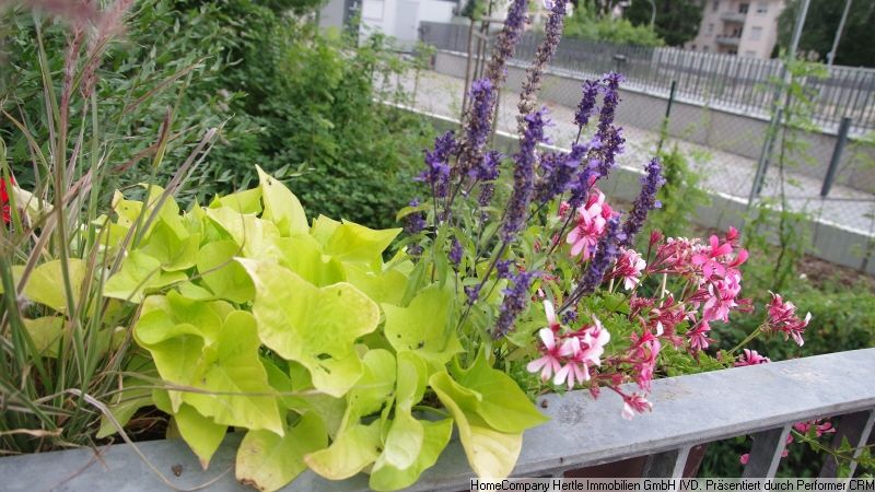 In Vorbereitung: Hell  &  gemütlich möbliert mit sonniger Terrasse für 6-11 Monate in Merzhausen – f911b330c4e4e81c861afb62f3e8e63209b2a317.jpg