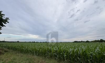 IHR EIGENHEIM IN RUHIGER FELDRANDLAGE – 1786395902_ab291f.jpg