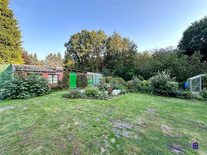 Bild 15