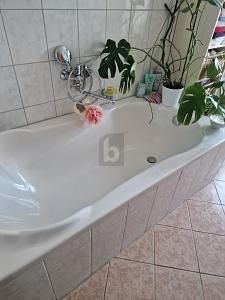 1764596445_6c9414.jpg