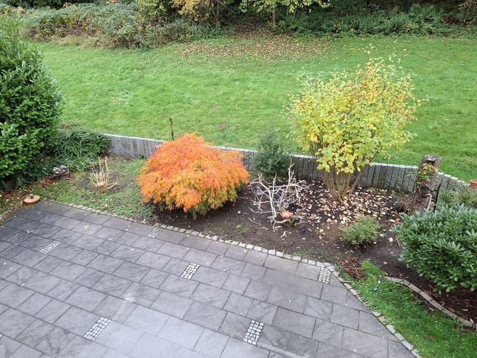 Garten im Herbst
