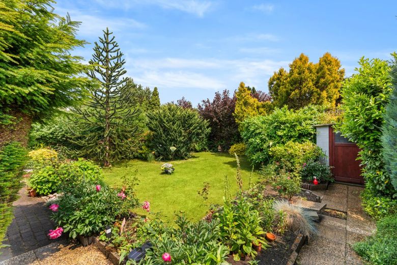 Blick in den Garten