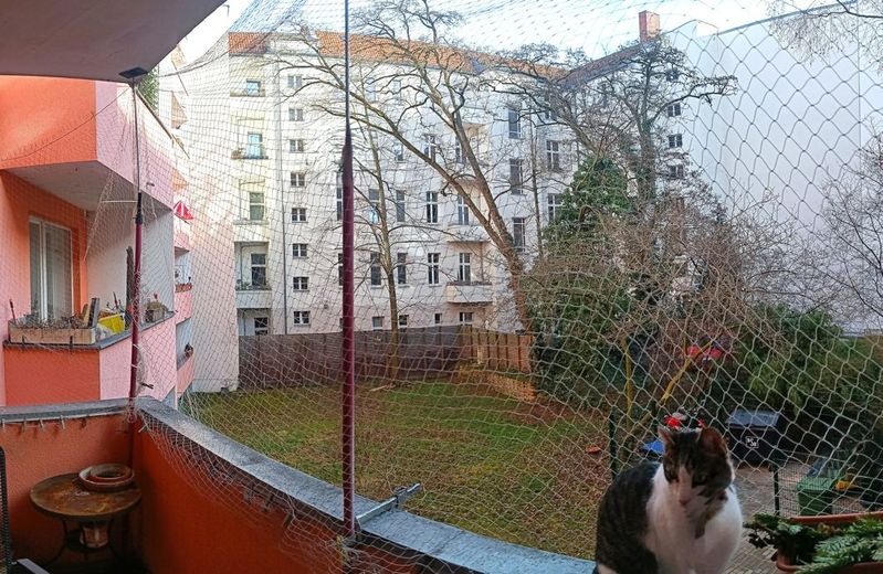 vermietete 2-Zimmer-Eigentumswohnung mit Sonnen-Balkon zum Hof Nähe Volkspark Wilmersdorf – Balkon Ausblick
