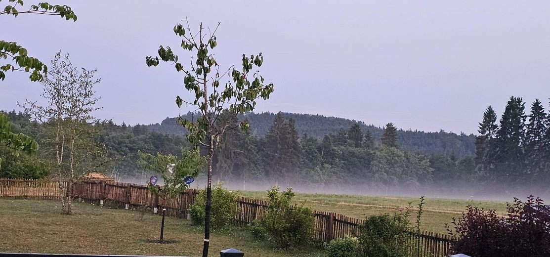 Blick aus dem Wohnzimmer