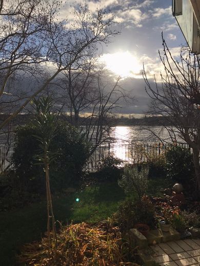 Eine Wohlfühloase direkt am Rhein – Foto 4