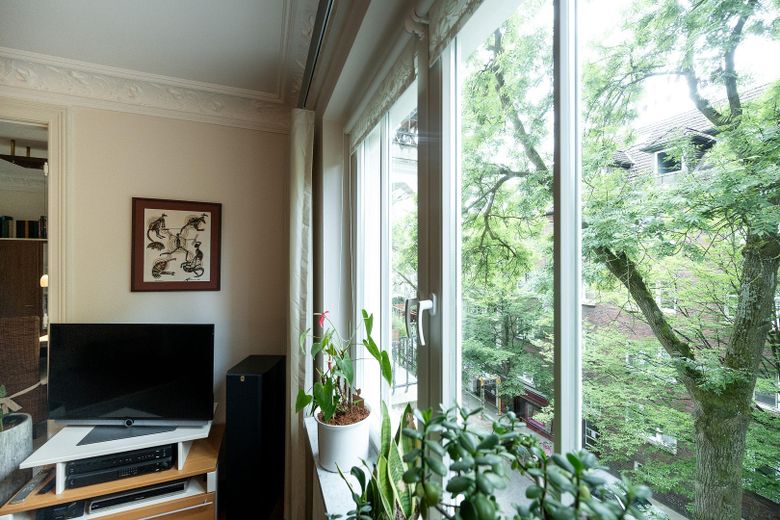 Bellissimo appartamento d'epoca in Ulmenstraße presso Stadtpark - da privato – Wohnzimmerausblick
