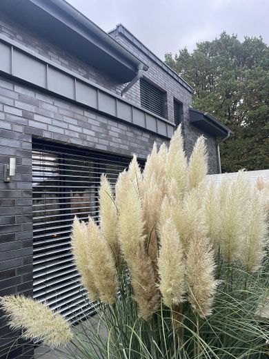 Ansicht Wintergarten