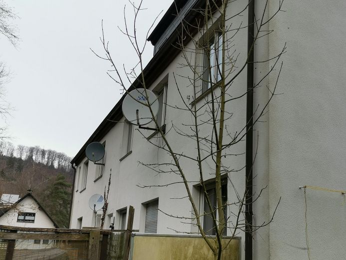 Edificio residencial con 4 unidades de vivienda, amplia parcela ajardinada y de patio, así como edificio comercial independiente – Rückansicht vom Garten