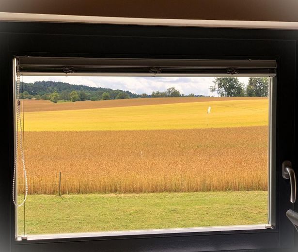 Blick aus d Arbeitsz/Kizi.