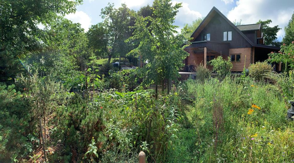 freistehendes Einfamilien, Vollholzhaus, kanadisches Blockhaus ökologische Bauweise, sehr gepflegt – Foto 26