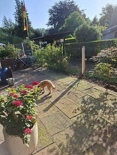 Einfamilienhaus mit viel Platz samt Garten in Emmerich am Rhein – Foto 25