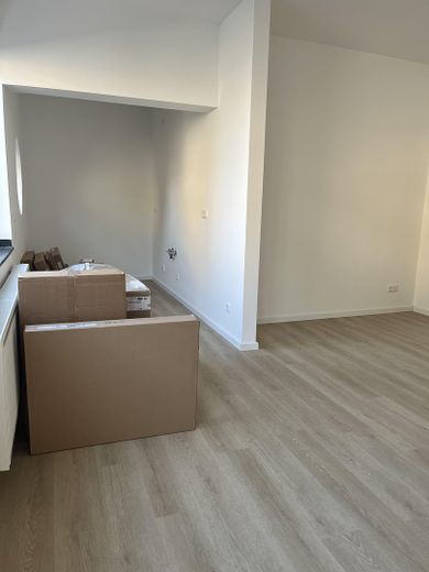 Küchenbereichereich