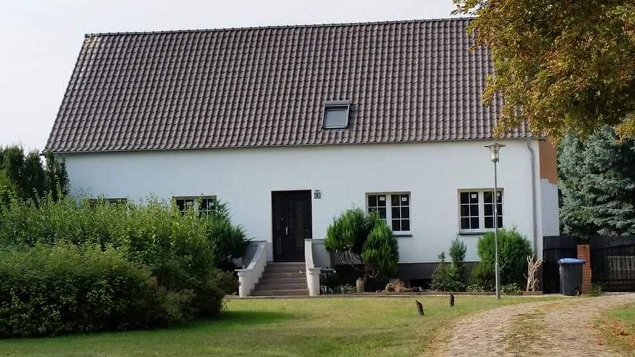 Tu sueño de tener un caballo en casa se hace realidad – Foto 4