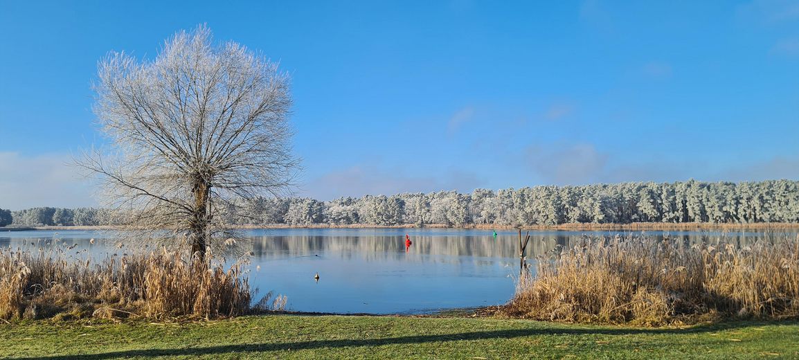 traumhaft-winterliche Aussicht