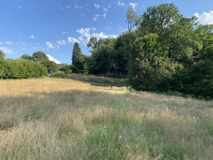 Baureifes Grundstück in Windeck-Rosbach: ab 480 m² provisionsfrei & unter Bodenrichtwert – Grunstücksansicht zur Straße