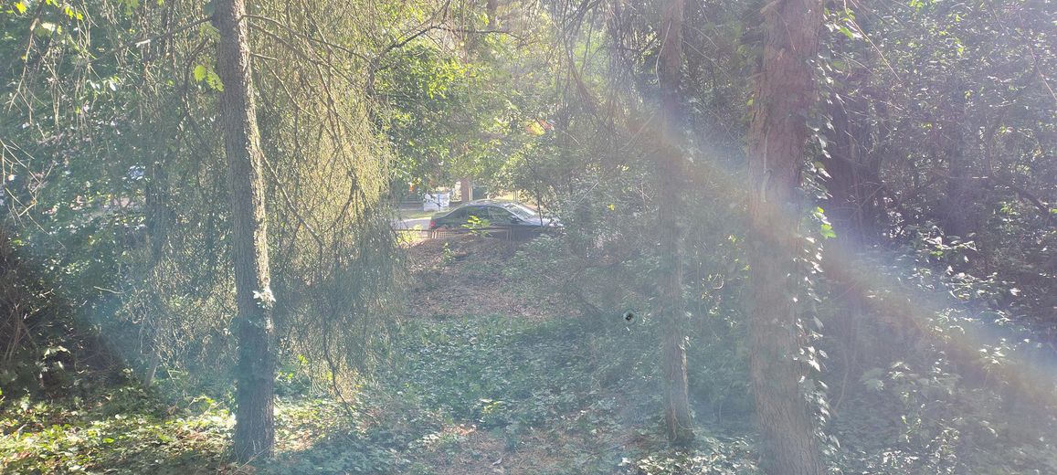 Działka w topowej lokalizacji – bez prowizji i bez pośrednika – Blick zur Strasse 